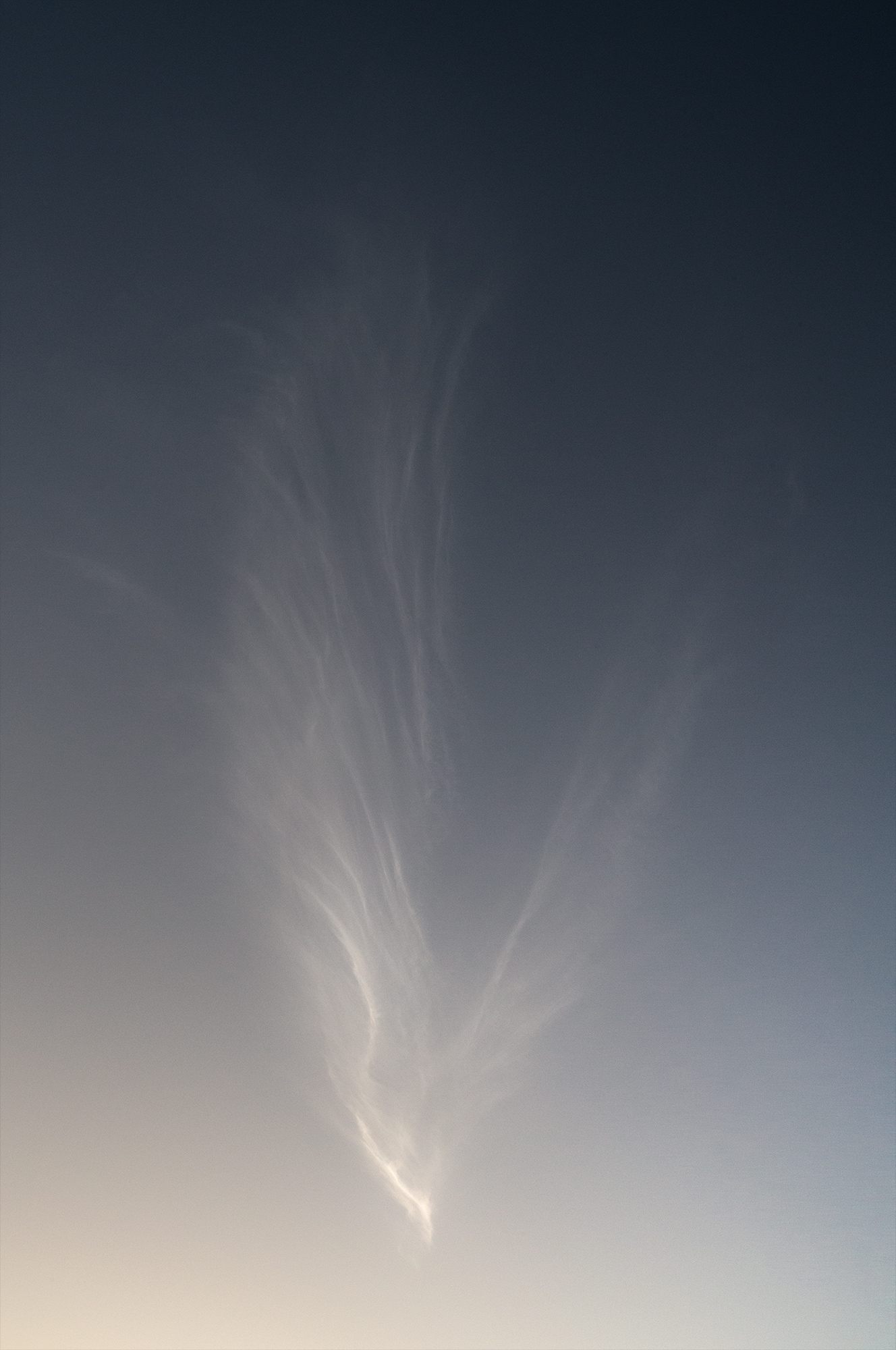 Clouds that look like wings with warm and blue colors.