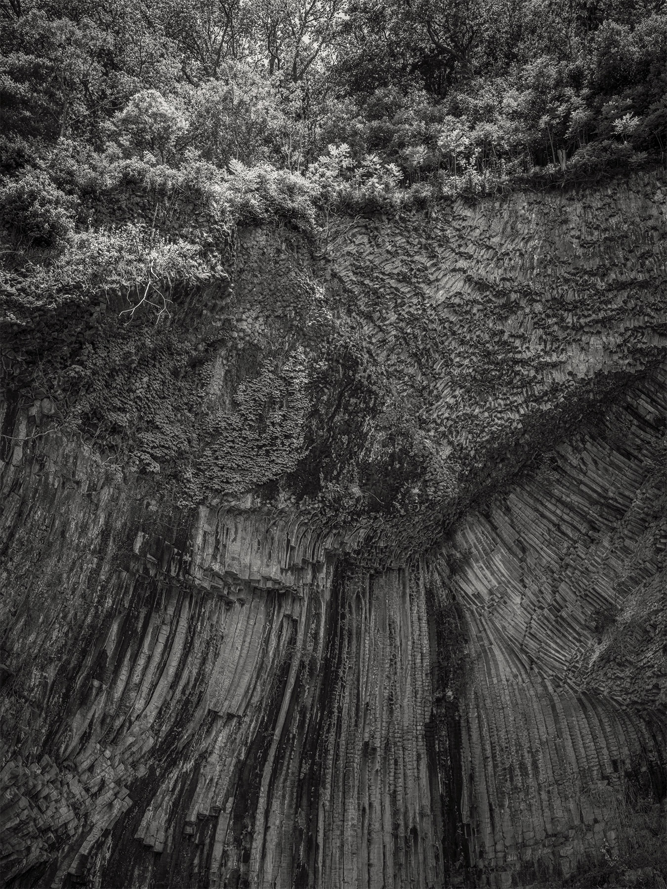 38_Kodama_PatrickCorrigan