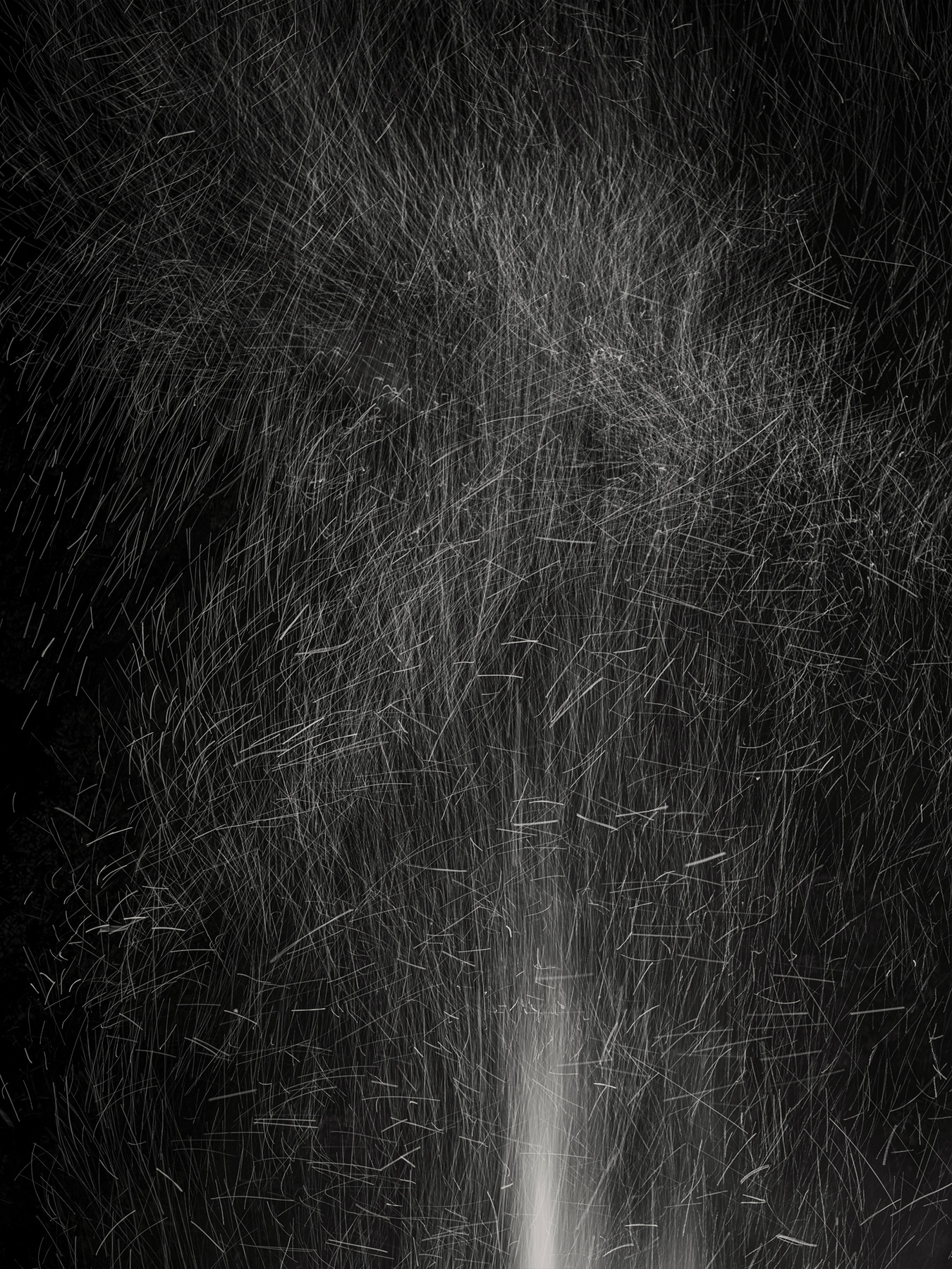 45_Tengu_PatrickCorrigan