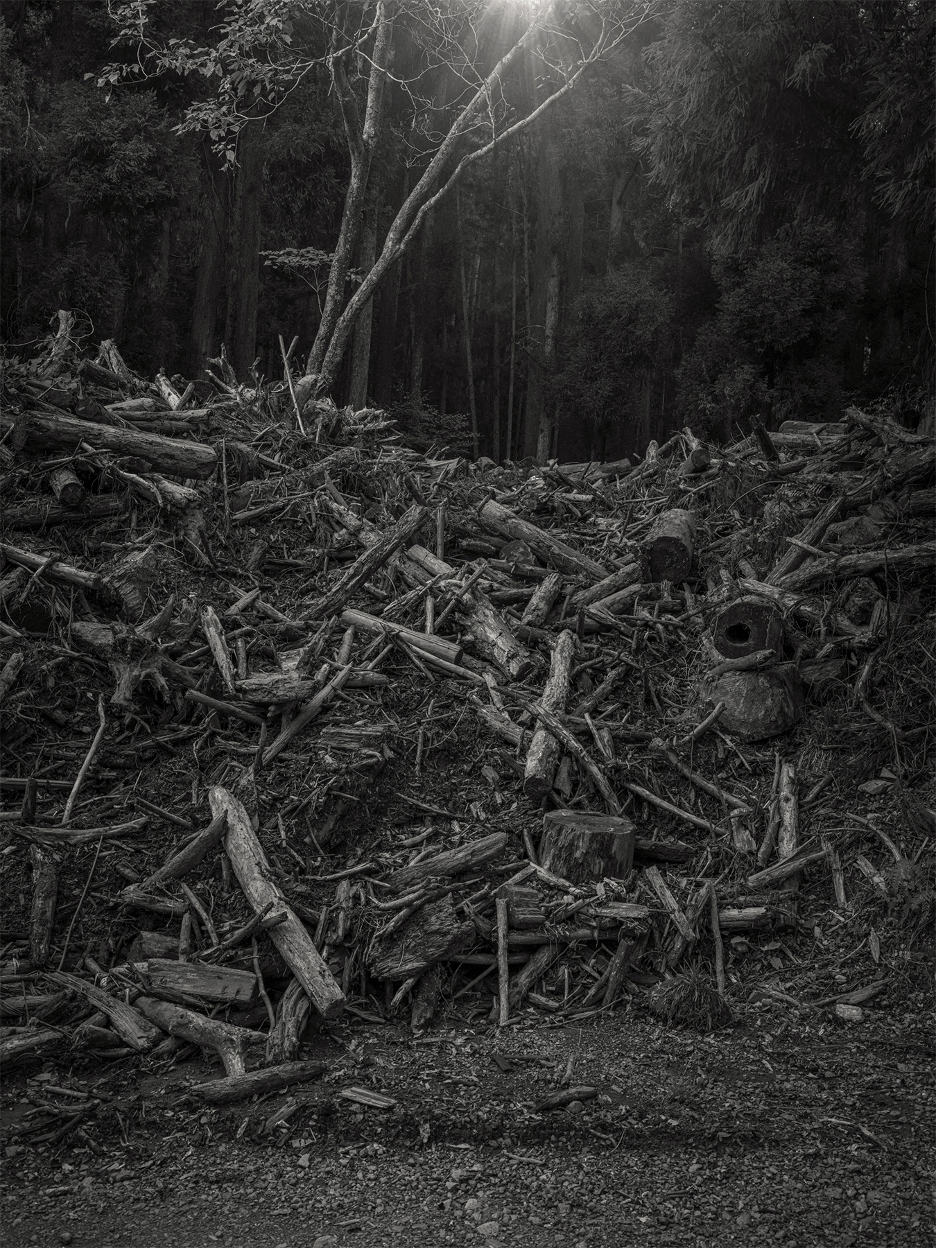 52_Kodama_PatrickCorrigan