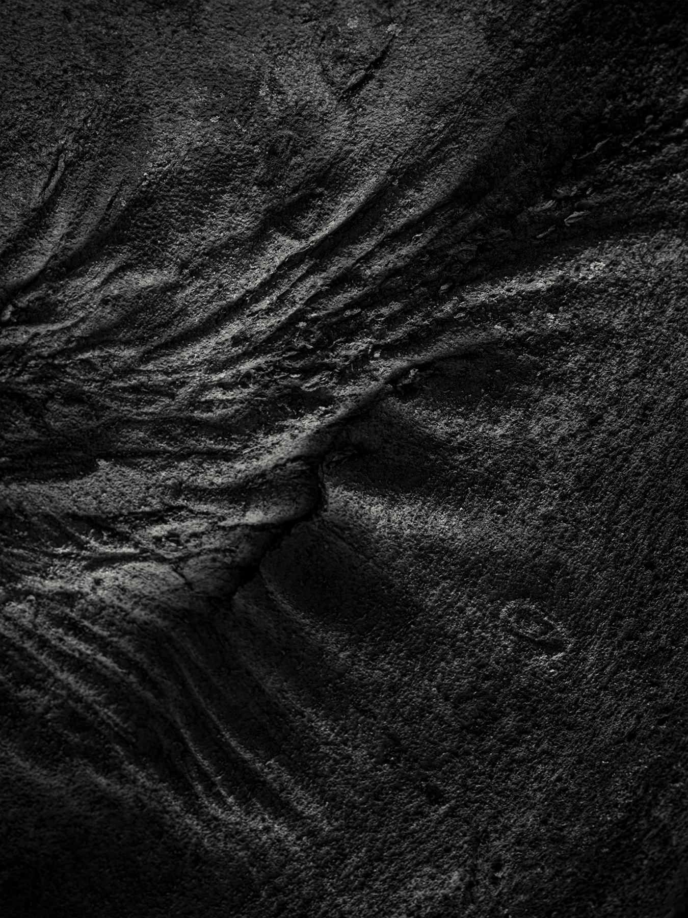 53_Kodama_PatrickCorrigan