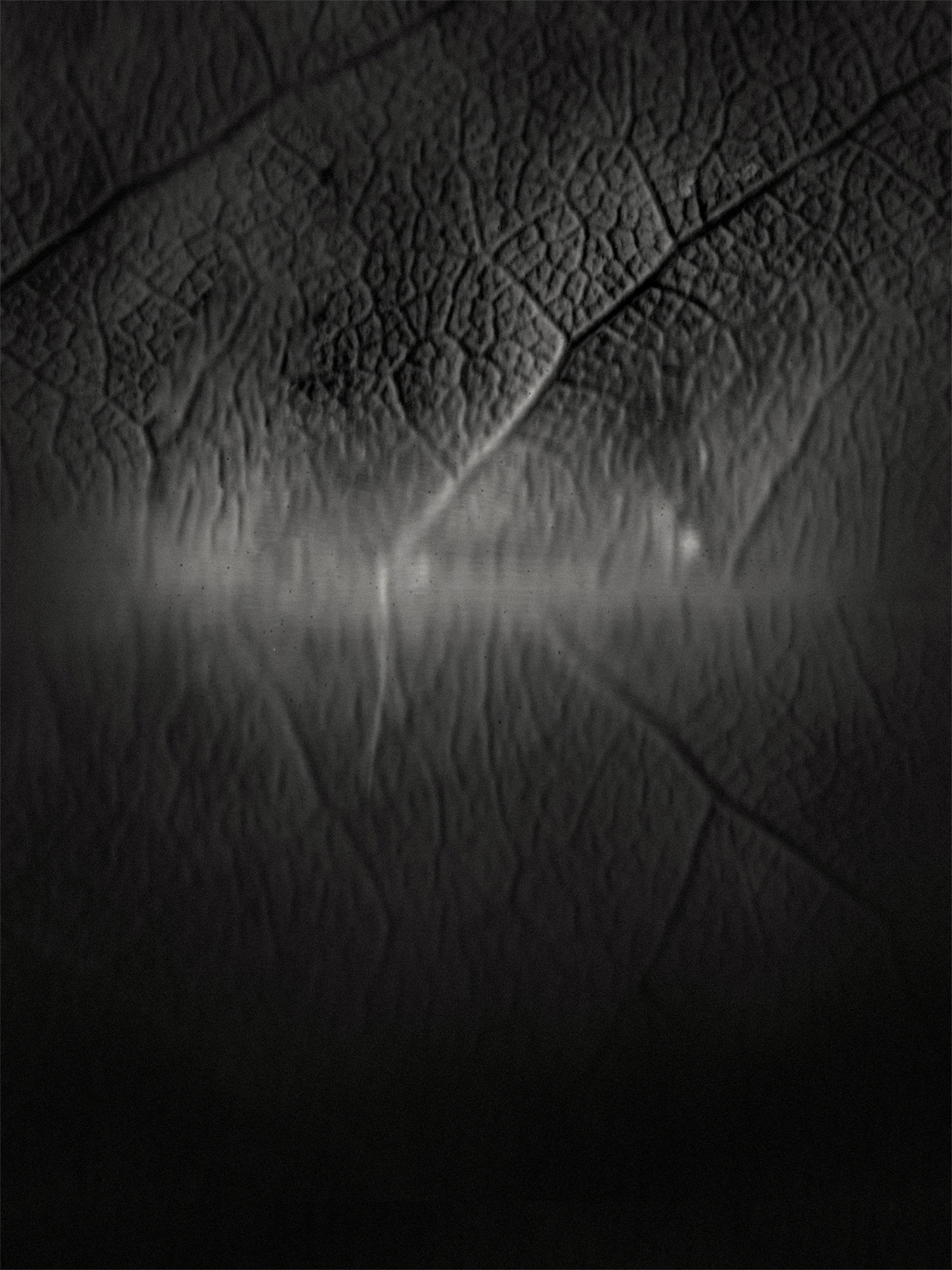 55_Kodama_PatrickCorrigan