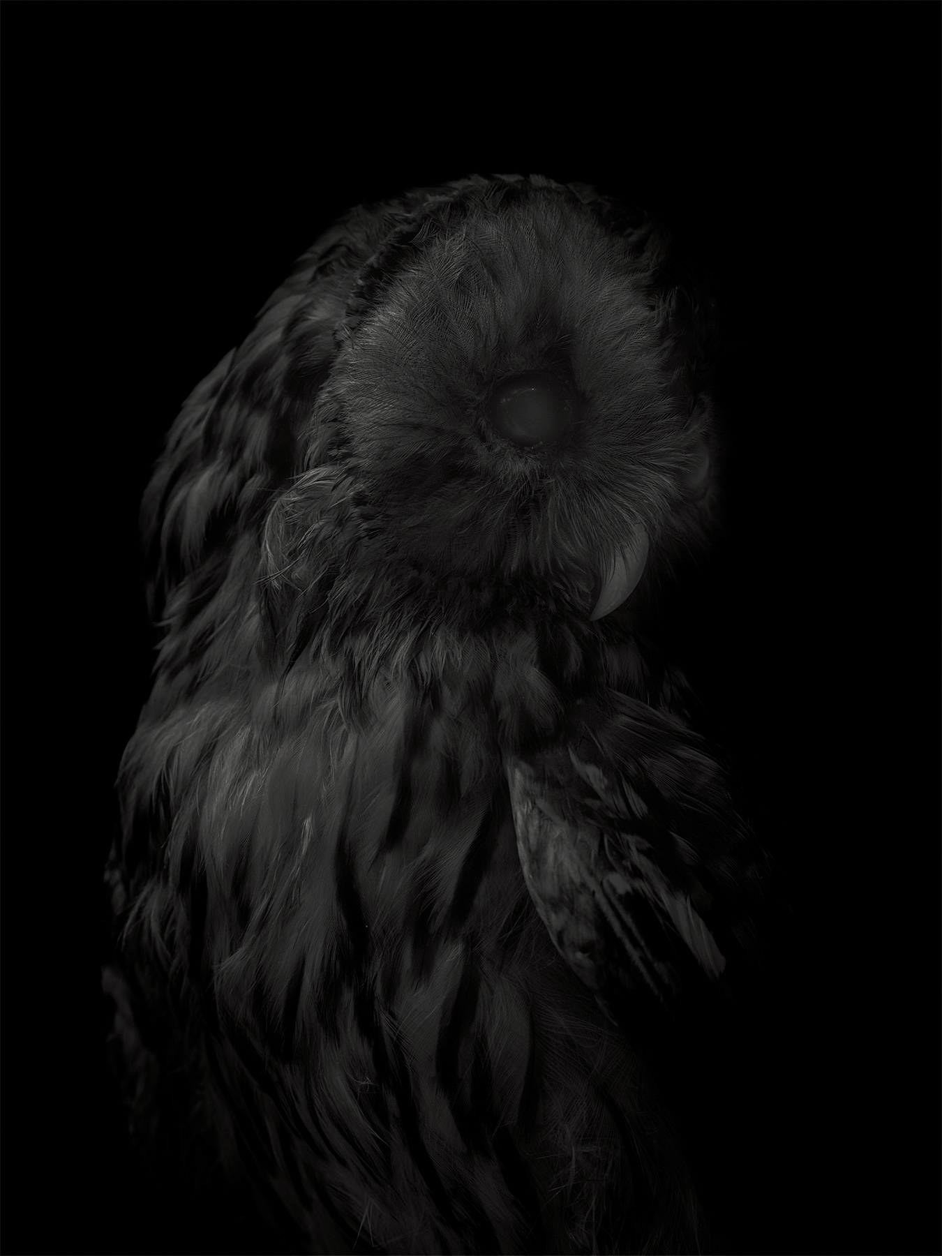 60_Kodama_PatrickCorrigan