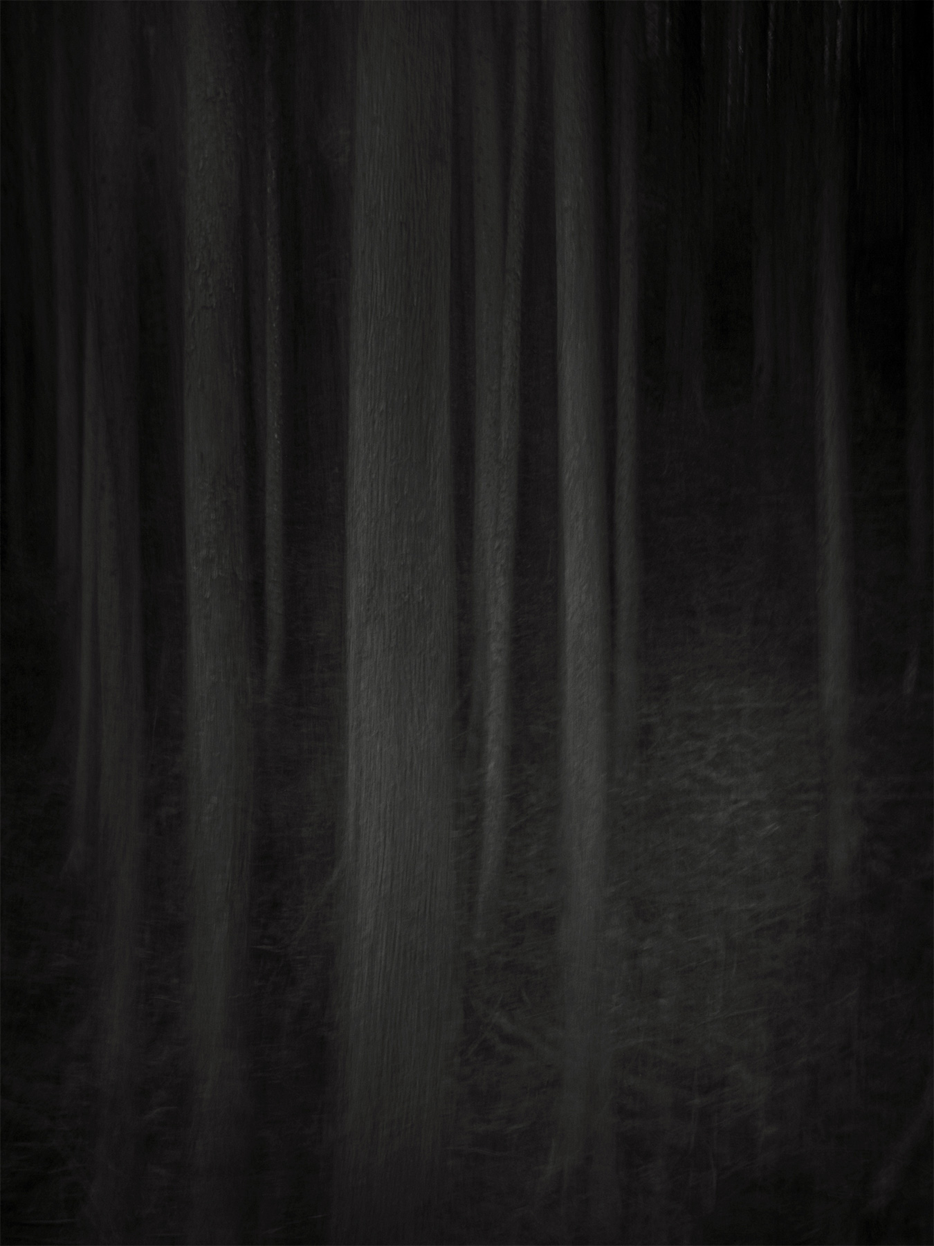 61_Kodama_PatrickCorrigan