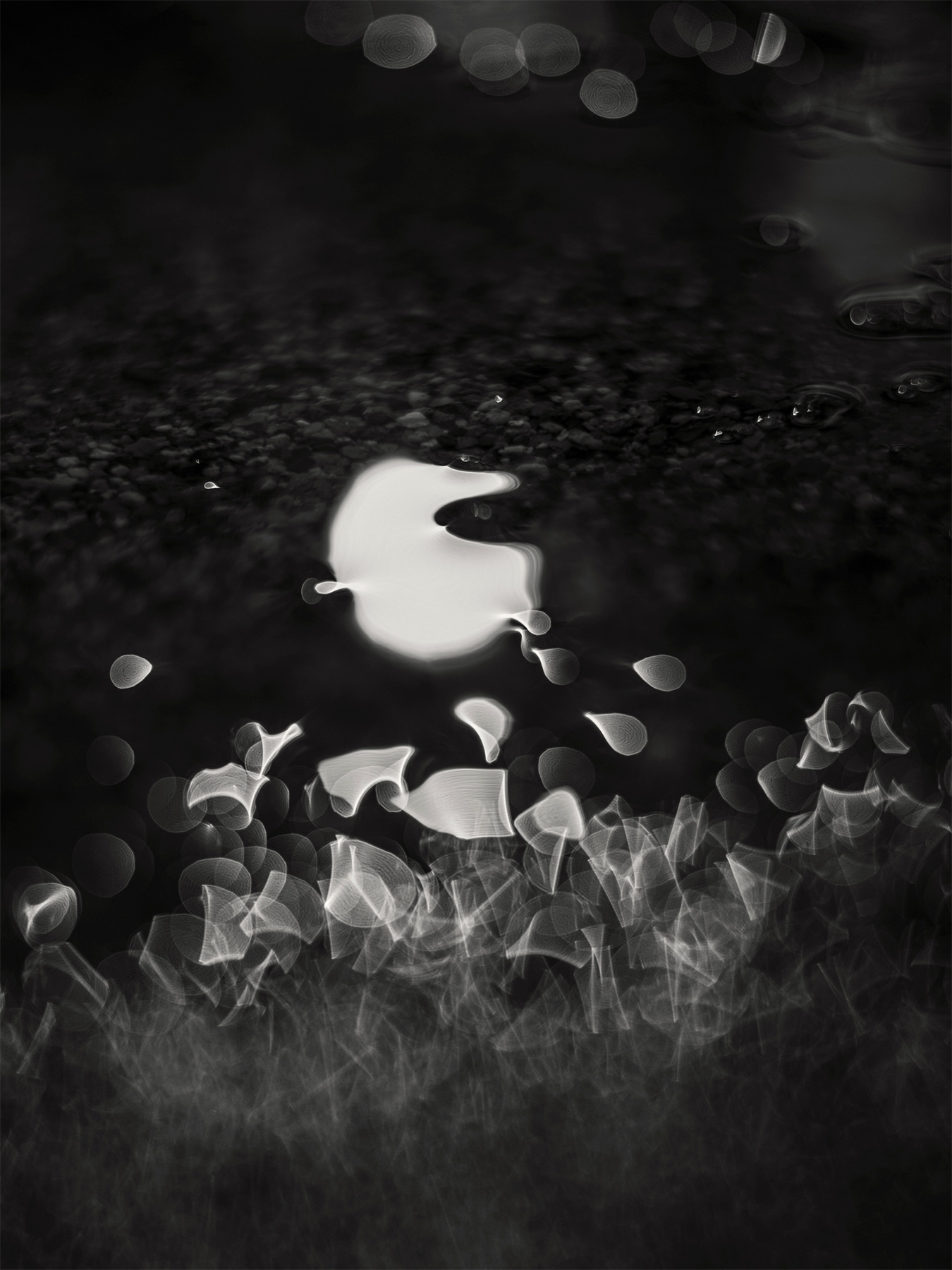 62_Kodama_PatrickCorrigan