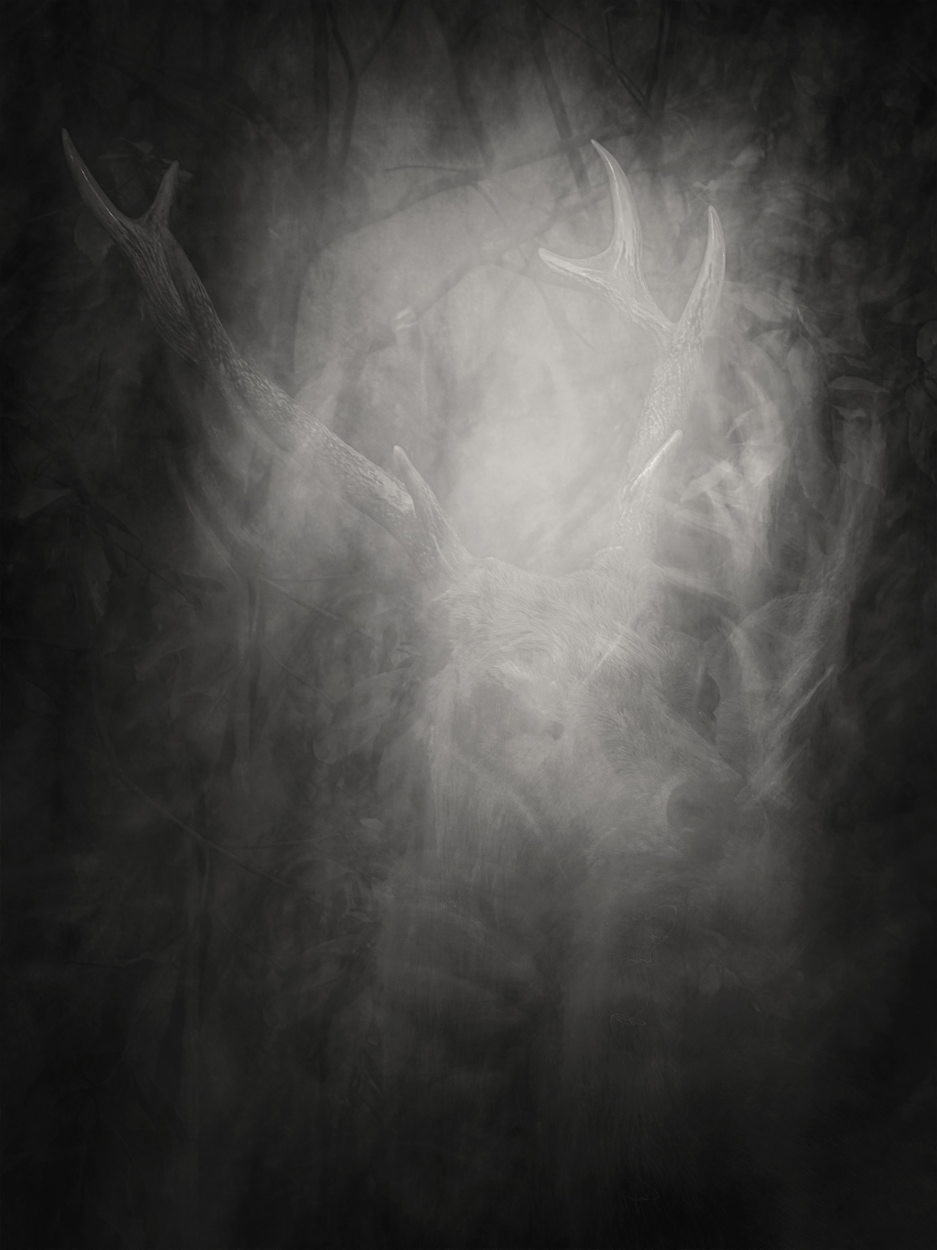 66_Kodama_PatrickCorrigan