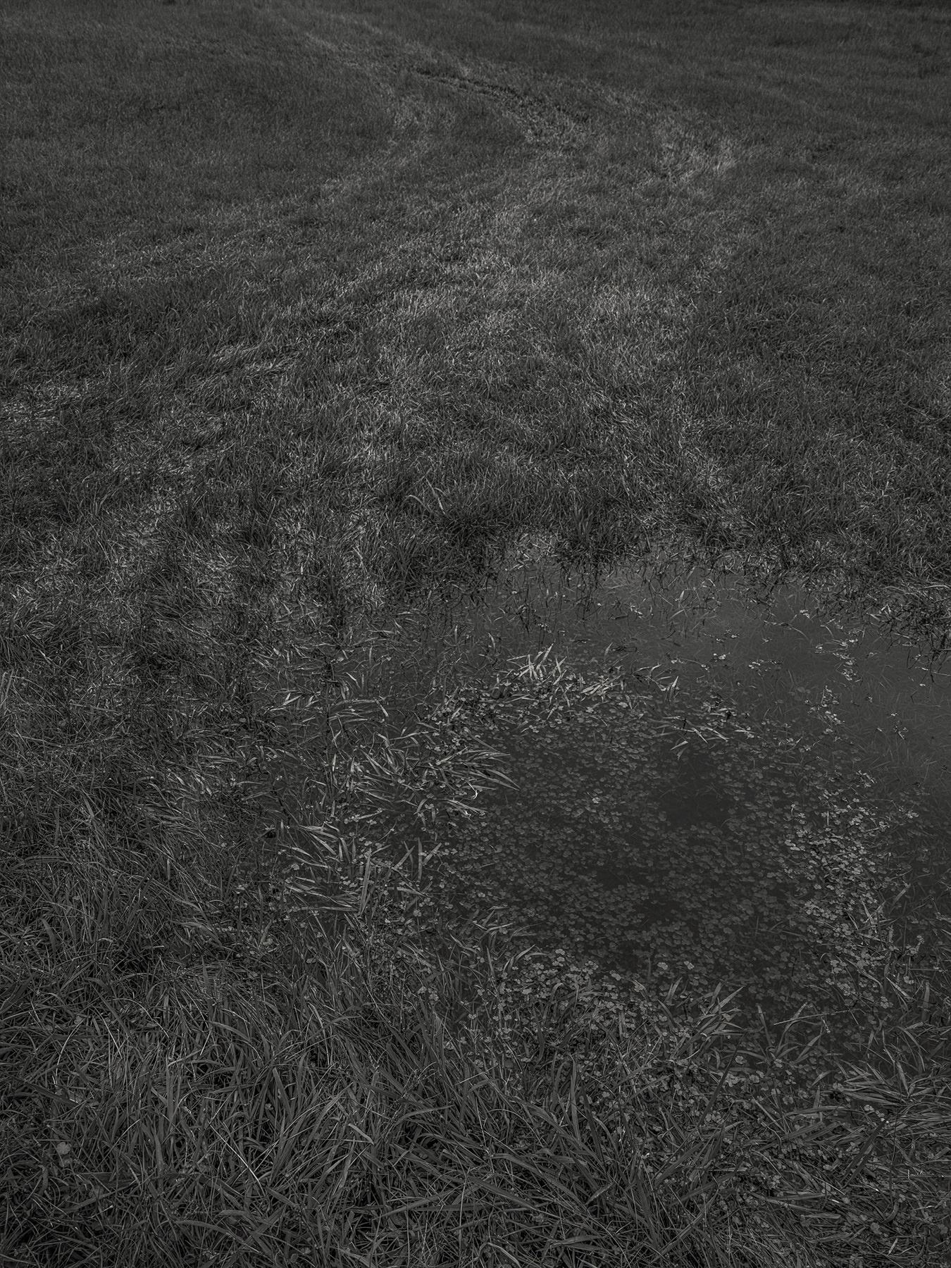 67_Kodama_PatrickCorrigan