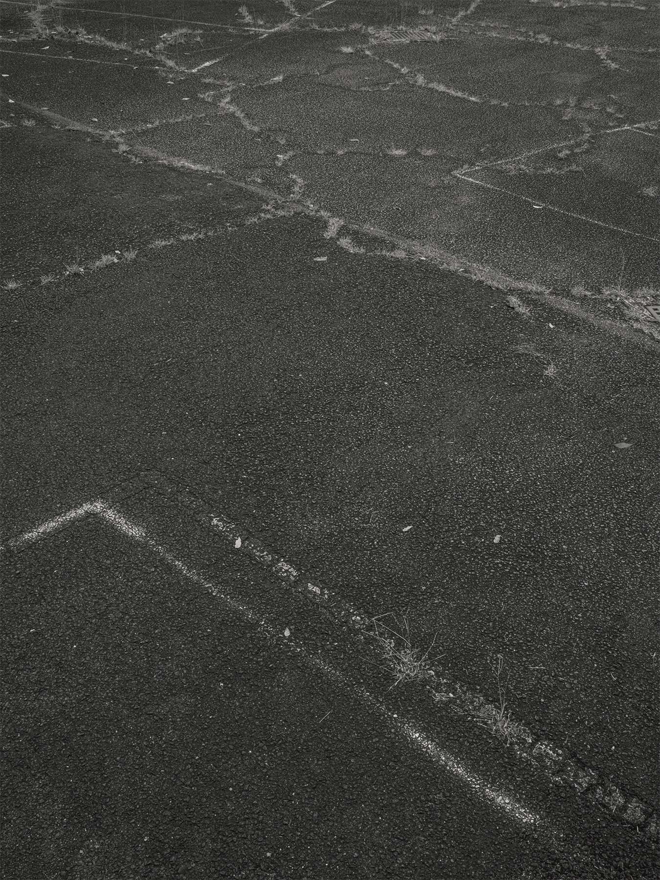 68_Kodama_PatrickCorrigan