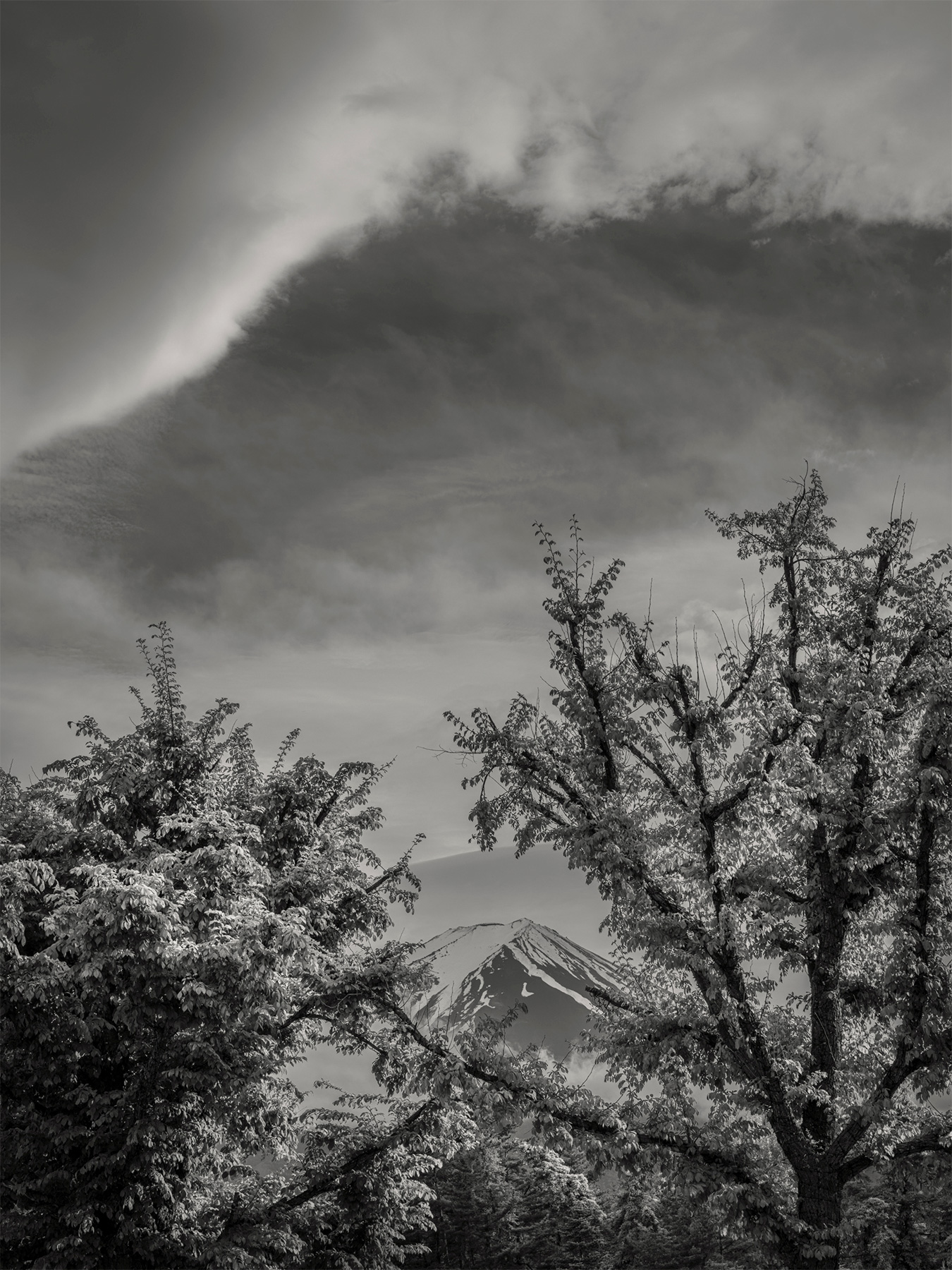 72_Kodama_PatrickCorrigan