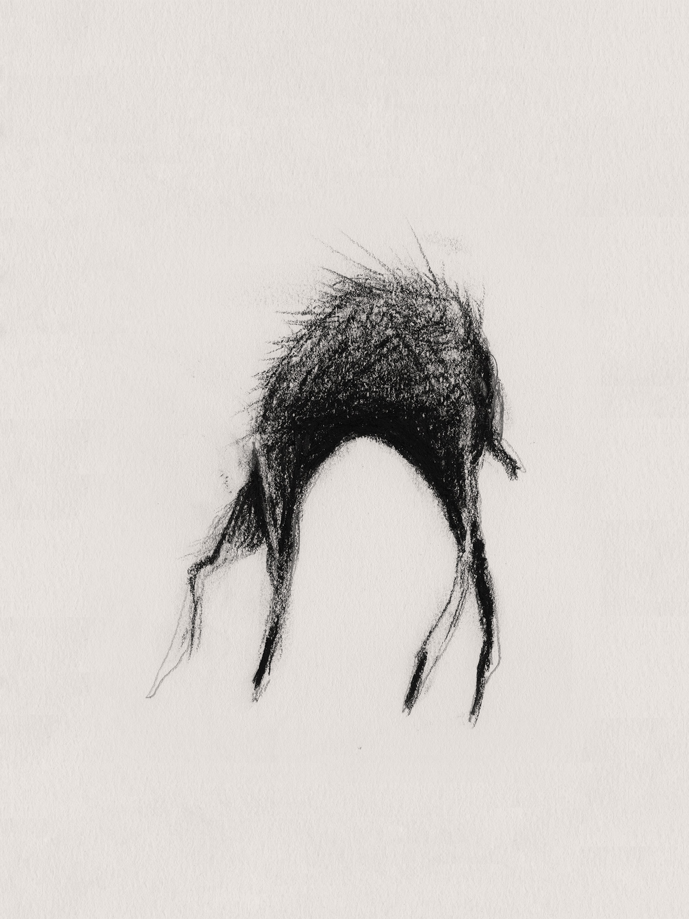 74_Kodama_PatrickCorrigan