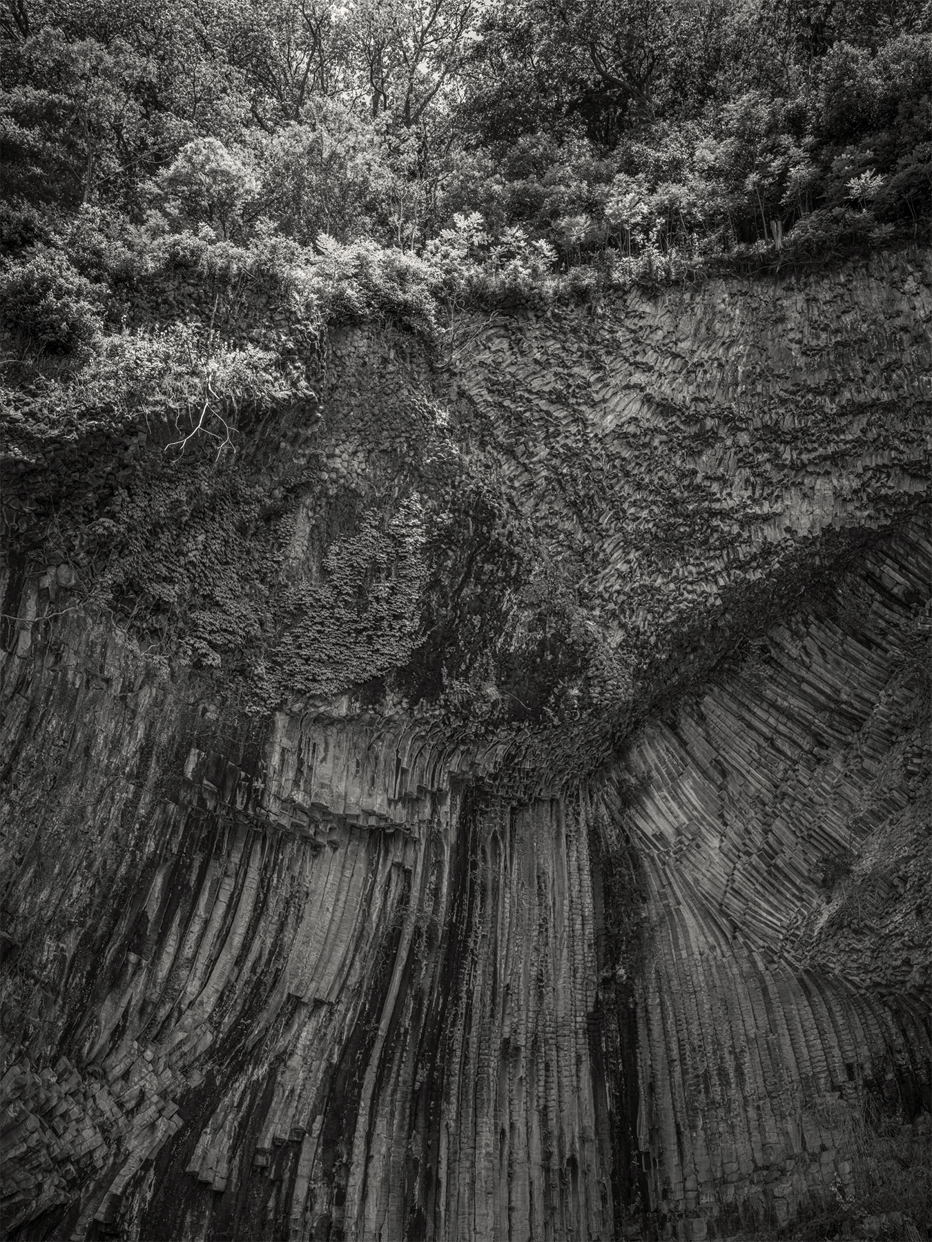02_Kodama_PatrickCorrigan