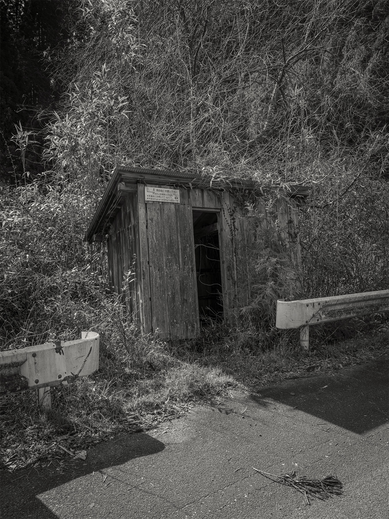 04_Kodama_PatrickCorrigan