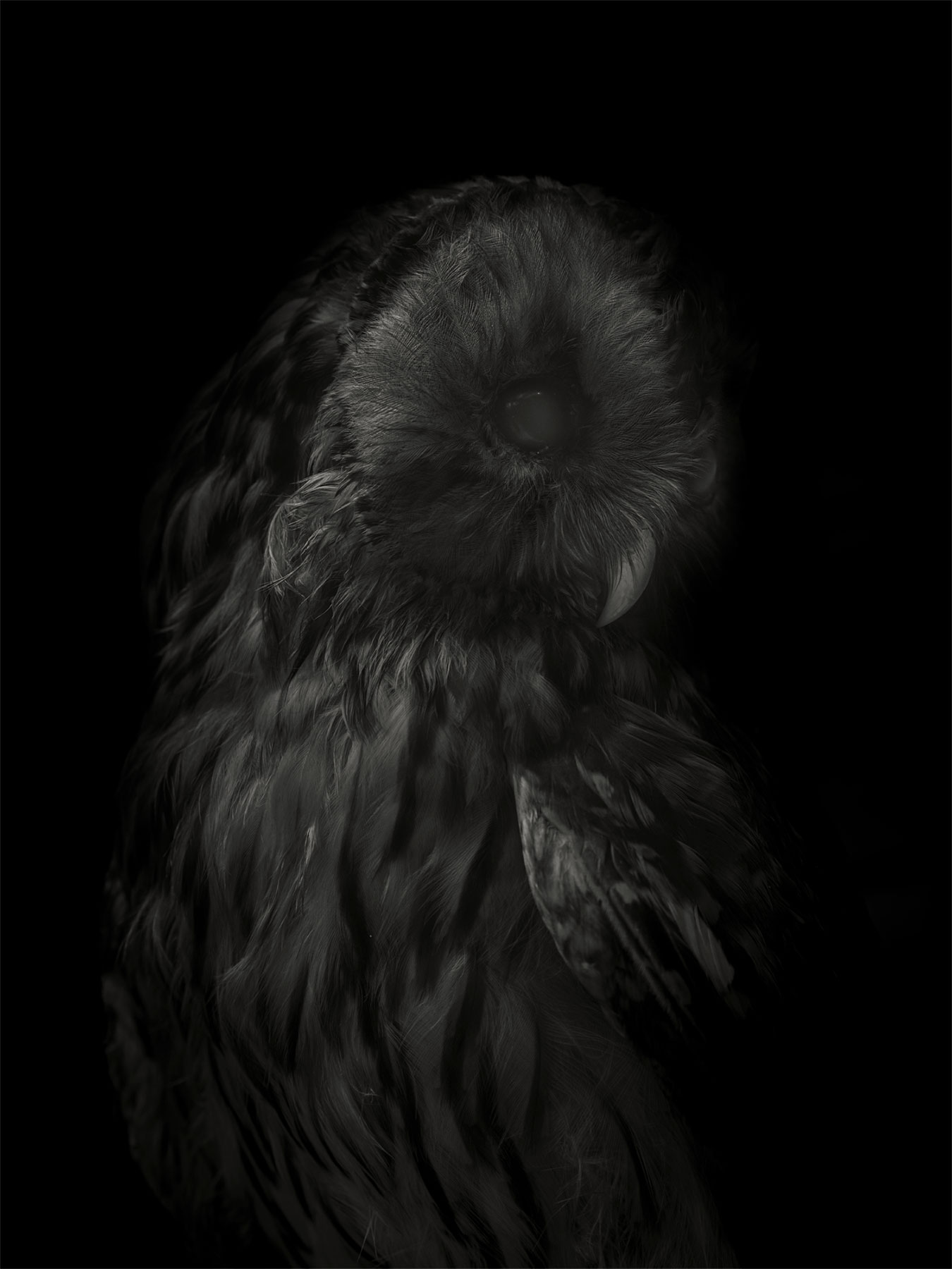 19_Kodama_PatrickCorrigan