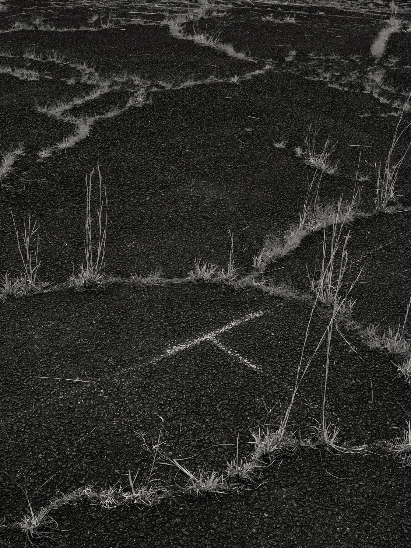 21_Kodama_PatrickCorrigan